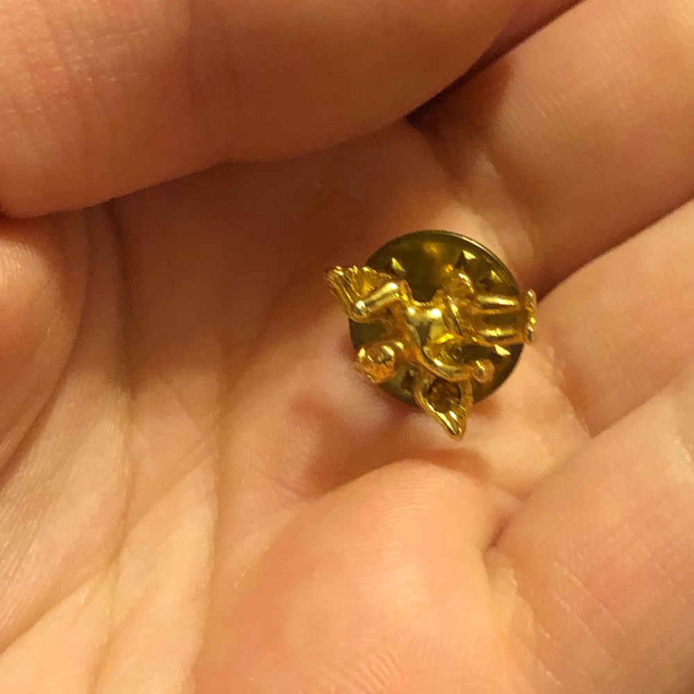 Gold pin